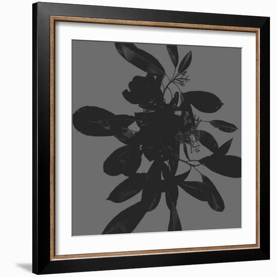 Botanical Light 1-Melody Hogan-Framed Art Print