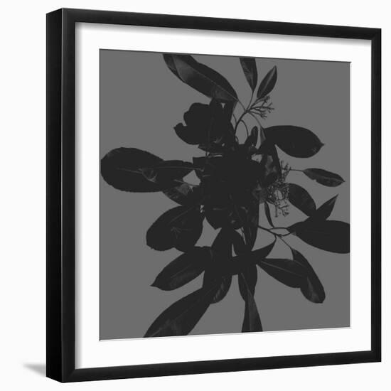 Botanical Light 1-Melody Hogan-Framed Art Print