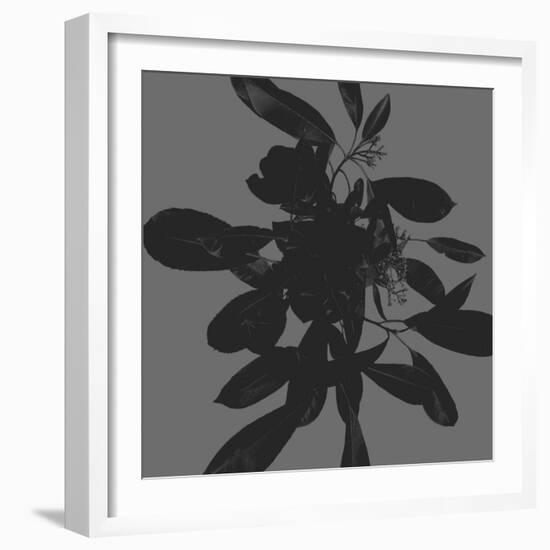 Botanical Light 1-Melody Hogan-Framed Art Print