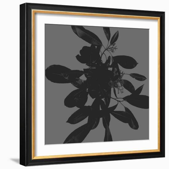 Botanical Light 1-Melody Hogan-Framed Art Print