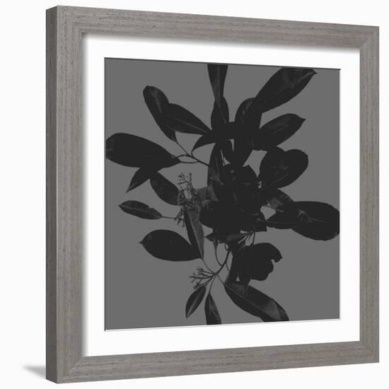 Botanical Light 2-Melody Hogan-Framed Art Print