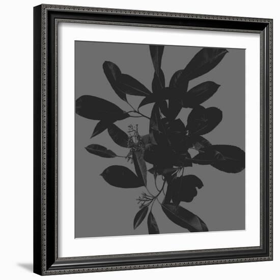 Botanical Light 2-Melody Hogan-Framed Art Print