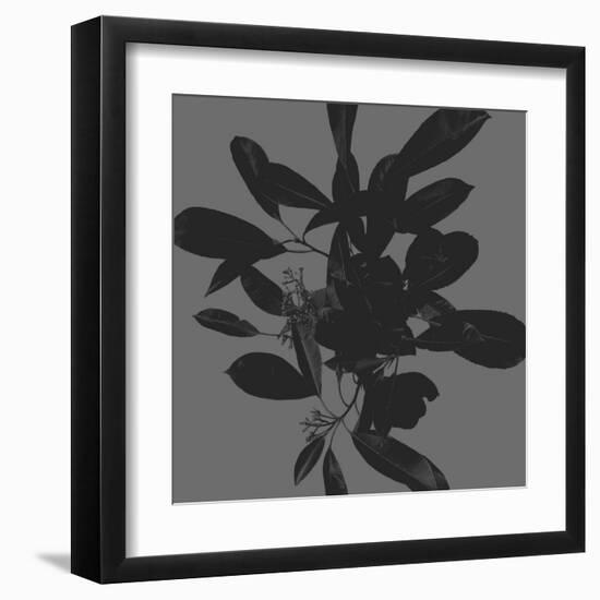 Botanical Light 2-Melody Hogan-Framed Art Print