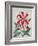 Botanical Lily, 1996-Lillian Delevoryas-Framed Giclee Print