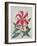 Botanical Lily, 1996-Lillian Delevoryas-Framed Giclee Print