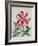 Botanical Lily, 1996-Lillian Delevoryas-Framed Giclee Print