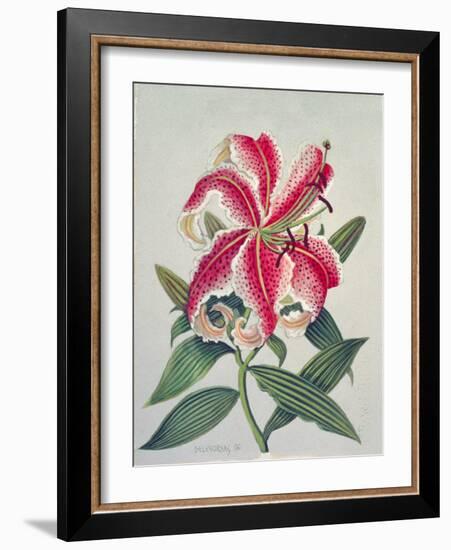 Botanical Lily, 1996-Lillian Delevoryas-Framed Giclee Print