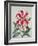 Botanical Lily, 1996-Lillian Delevoryas-Framed Giclee Print