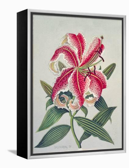 Botanical Lily, 1996-Lillian Delevoryas-Framed Premier Image Canvas