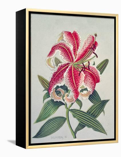 Botanical Lily, 1996-Lillian Delevoryas-Framed Premier Image Canvas