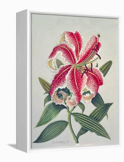 Botanical Lily, 1996-Lillian Delevoryas-Framed Premier Image Canvas