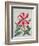 Botanical Lily, 1996-Lillian Delevoryas-Framed Giclee Print