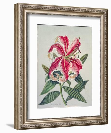 Botanical Lily, 1996-Lillian Delevoryas-Framed Giclee Print