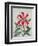 Botanical Lily, 1996-Lillian Delevoryas-Framed Giclee Print