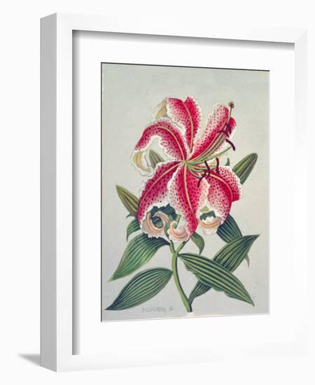 Botanical Lily, 1996-Lillian Delevoryas-Framed Giclee Print