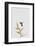 Botanical Luxe - Flitter-Dana Shek-Framed Art Print