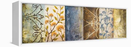 Botanical Modulation I-Michael Marcon-Framed Stretched Canvas