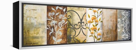 Botanical Modulation II-Michael Marcon-Framed Stretched Canvas