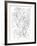 Botanical Orchid BW for Coloring-Cyndi Lou-Framed Giclee Print