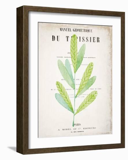 Botanical Pages 3-Kimberly Allen-Framed Art Print