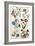 Botanical Print of a Variety of Flowers-J. Hill-Framed Giclee Print