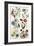 Botanical Print of a Variety of Flowers-J. Hill-Framed Giclee Print