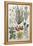 Botanical Print of Various Flowers-J. Hill-Framed Premier Image Canvas