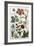 Botanical Print-J. Hill-Framed Giclee Print