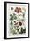 Botanical Print-J. Hill-Framed Giclee Print