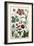 Botanical Print-J. Hill-Framed Giclee Print