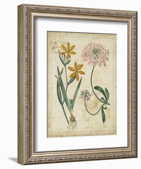 Botanical Repertoire I-Vision Studio-Framed Art Print