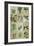 Botanical Sampler II-Vision Studio-Framed Art Print