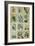 Botanical Sampler III-Vision Studio-Framed Art Print