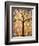 Botanical Seasons New Moon Tree-Blenda Tyvoll-Framed Art Print