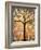 Botanical Seasons New Moon Tree-Blenda Tyvoll-Framed Art Print