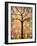 Botanical Seasons New Moon Tree-Blenda Tyvoll-Framed Art Print