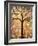 Botanical Seasons New Moon Tree-Blenda Tyvoll-Framed Art Print