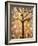 Botanical Seasons New Moon Tree-Blenda Tyvoll-Framed Art Print