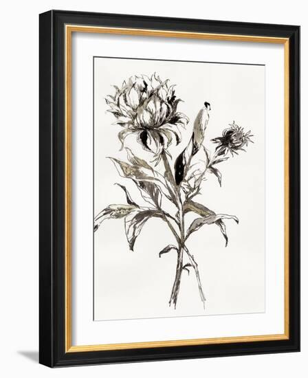 Botanical Seed I-Asia Jensen-Framed Art Print