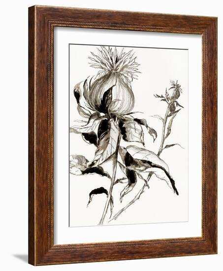 Botanical Seed II-Asia Jensen-Framed Art Print