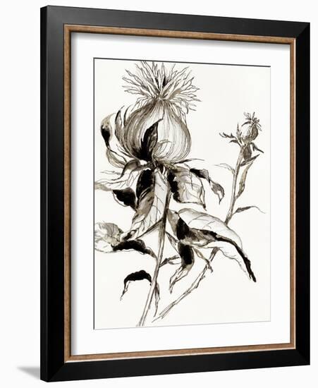 Botanical Seed II-Asia Jensen-Framed Art Print