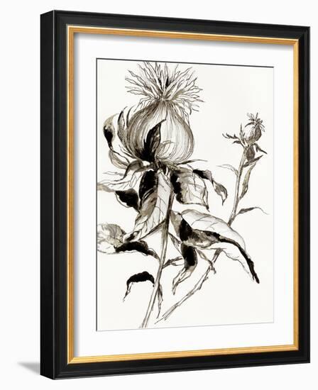 Botanical Seed II-Asia Jensen-Framed Art Print