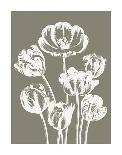 Fern I (on white)-Botanical Series-Art Print