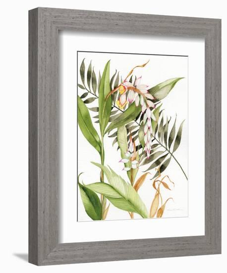 Botanical Shell Ginger-Kathleen Parr McKenna-Framed Art Print