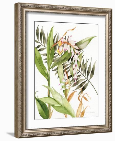 Botanical Shell Ginger-Kathleen Parr McKenna-Framed Art Print