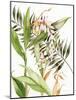Botanical Shell Ginger-Kathleen Parr McKenna-Mounted Art Print