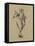 Botanical Sketch Black and White I-Ethan Harper-Framed Stretched Canvas