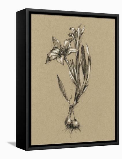 Botanical Sketch Black and White I-Ethan Harper-Framed Stretched Canvas