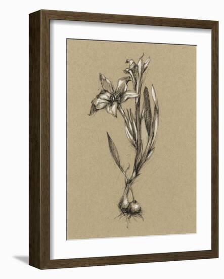 Botanical Sketch Black and White I-Ethan Harper-Framed Art Print