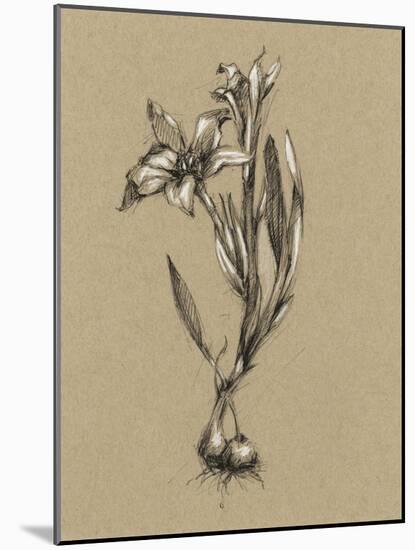 Botanical Sketch Black and White I-Ethan Harper-Mounted Art Print